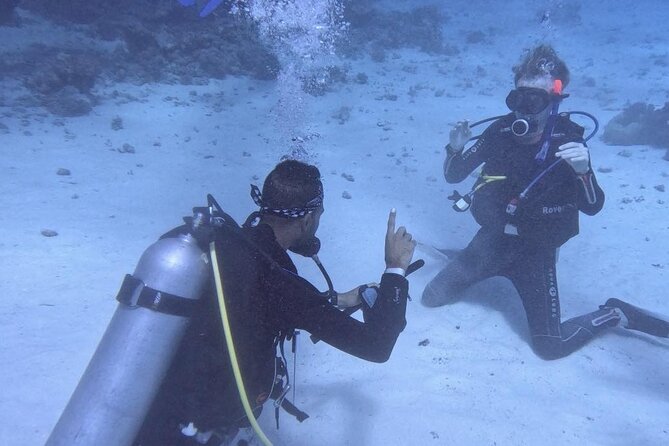 Guided Diving Experience for Padi OW in Red Sea and Sinai - Communication