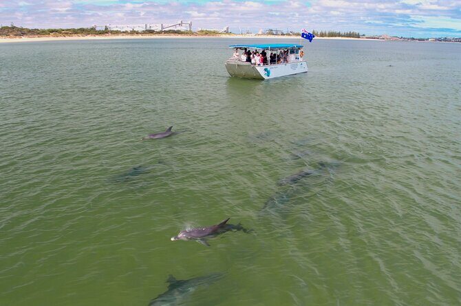 Guided Dolphin Eco-Cruise in Koombana Bay - What Is the Guided Dolphin Eco-Cruise?