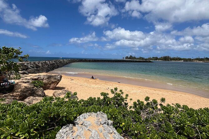 Guided E-Bike Tour in North Shore - The Value for Money