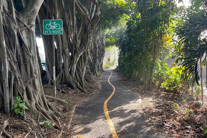 Guided E-Bike Tour in North Shore - Who Will Love This Tour?