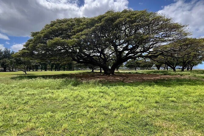 Guided E-Bike Tour in North Shore - The Sum Up