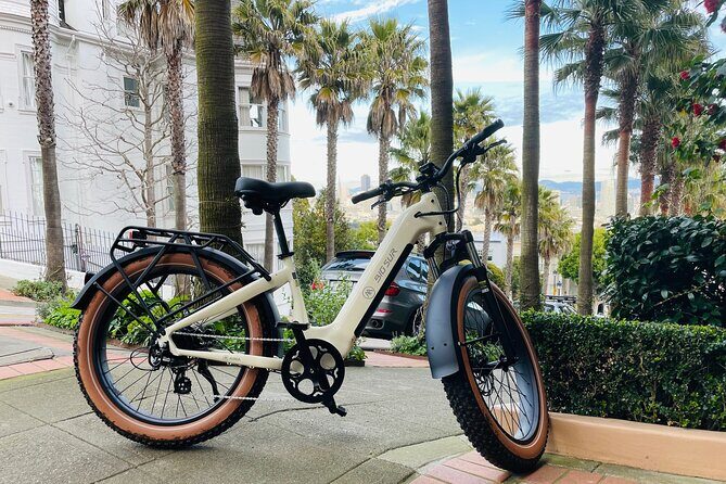 Guided E Bike Tour in San Francisco - Good To Know