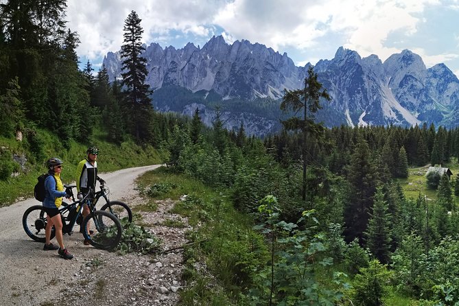Guided E-Bike Tour of the Alpine Pastures in the Salzkammergut - Traveler Photos