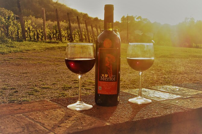 Guided E-Bike Tour With Wine Tasting From Lucca - Tour Overview and Highlights