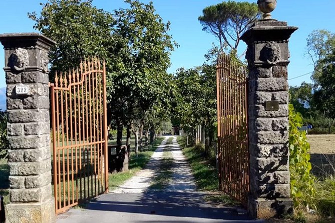 Guided E-Bike Tour With Wine Tasting From Lucca - Reviews