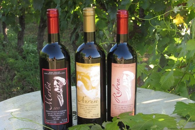 Guided E-Bike Tour With Wine Tasting From Lucca - Directions