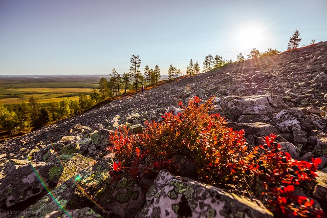 Guided Easy Hike in Finland Deepest Gorge in Pyhä-Luosto National Park - Inclusions and Services