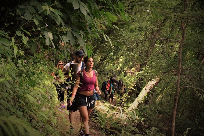 Guided Eco Hiking and Sea View Wine Tasting in Portofino Park - Eco Hike Through Scenic Trails