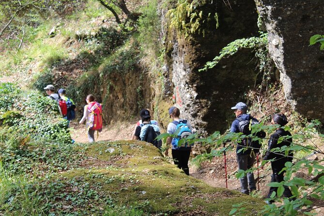 Guided Eco Hiking and Sea View Wine Tasting in Portofino Park - Booking and Practical Information