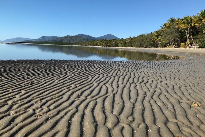 Guided Eco Segway Tours Four Mile Beach Port Douglas - Who Will Love This Tour?  
