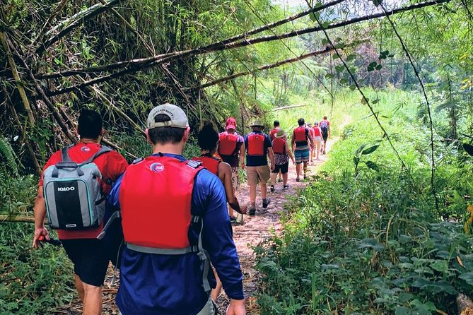 Guided El Yunque Rainforest & Bio Bay Tour: Full-Day With Transportation - Positive Experiences and Well-Planned Tour