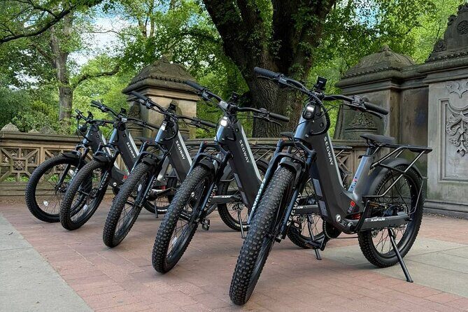 Guided Electric Bike Tour of Central Park in New York City - Considerations Before Booking