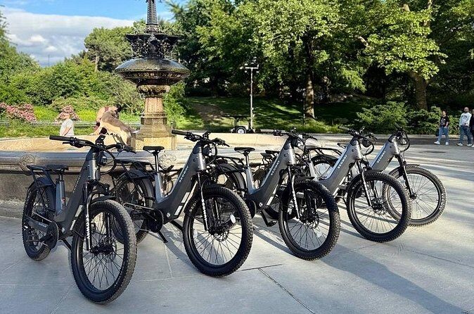 Guided Electric Bike Tour of Central Park in New York City - Who Would Love This Tour?