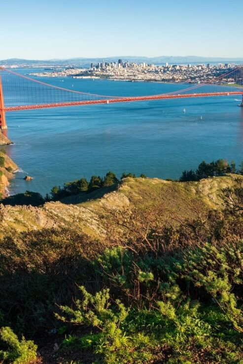 Guided Electric Bike Tour to Muir Woods - Tour Provider and Duration