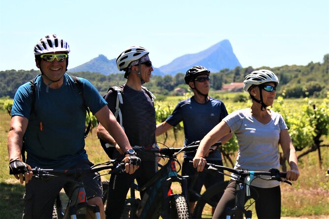 Guided Electric Bike Tours With Tasting in Pic Saint Loup - Pricing and Booking