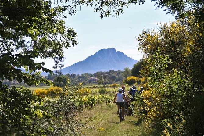 Guided Electric Bike Tours With Tasting in Pic Saint Loup - Weather and Minimum Travelers