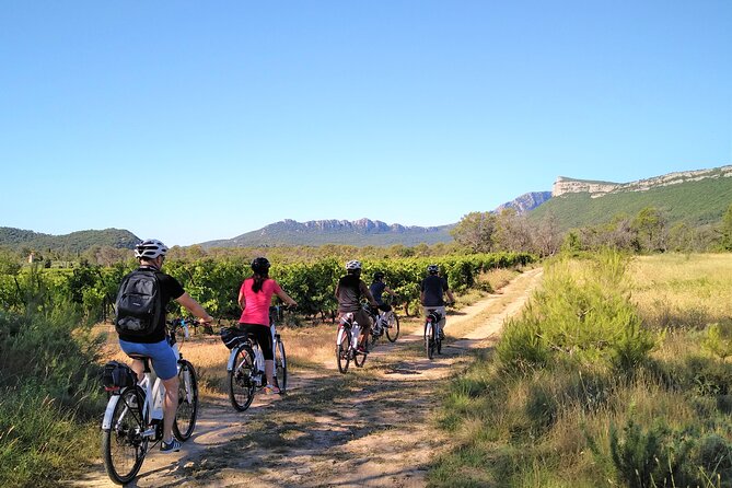 Guided Electric Bike Tours With Tasting in Pic Saint Loup - Reviews and Ratings