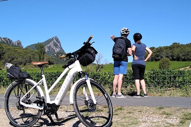 Guided Electric Bike Tours With Tasting in Pic Saint Loup - Questions and Additional Information