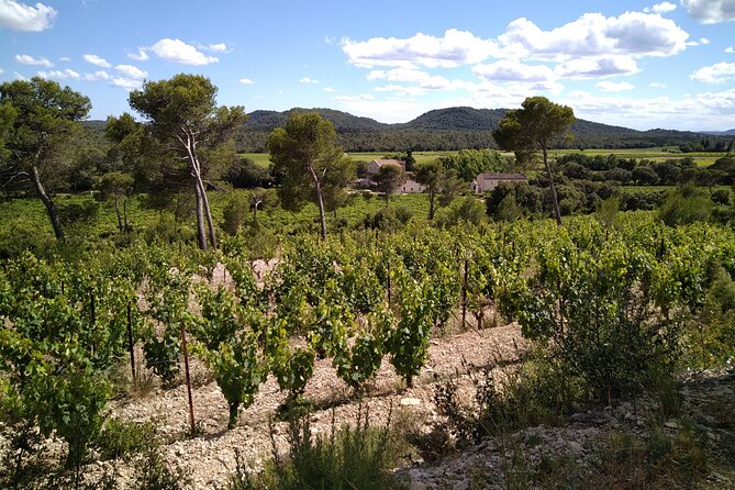 Guided Electric Bike Tours With Tasting in Pic Saint Loup - Directions