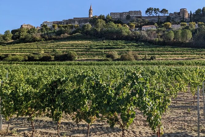 Guided ELECTRIC MTB Hike Discovery of Villages and Vineyards - Benefits of Guided Electric MTB Hike
