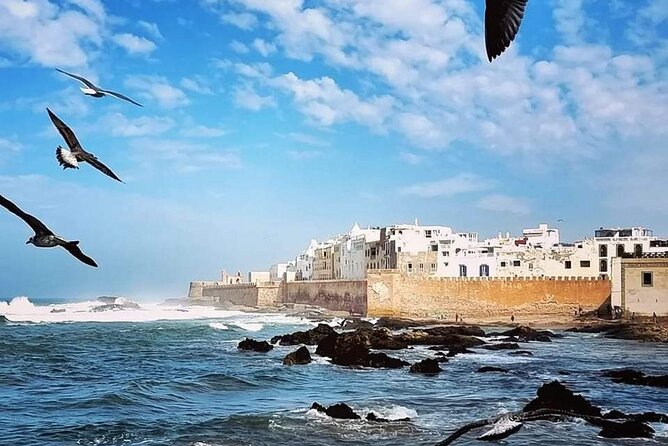 Guided Essaouira Day Trip From Agadir & Taghazout - Pricing and Booking