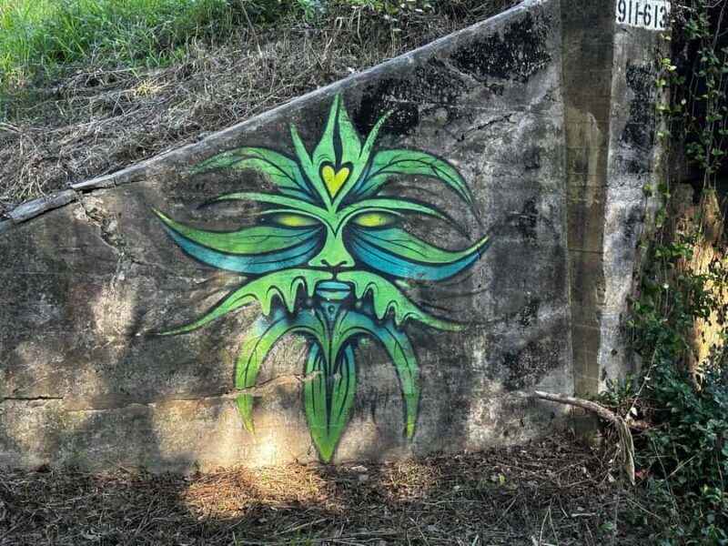 Guided Evening Glow Worm Experience - Byron Bay - Good To Know  