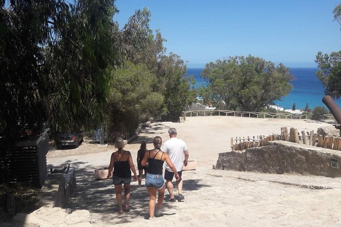 Guided Excursion Cap-Bon From Hammamet - Additional Information