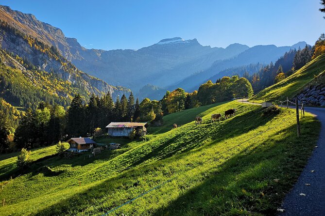 Guided Excursion to Jungfraujoch, Grindelwald and Lauterbrunnen From Lucerne - Common Questions