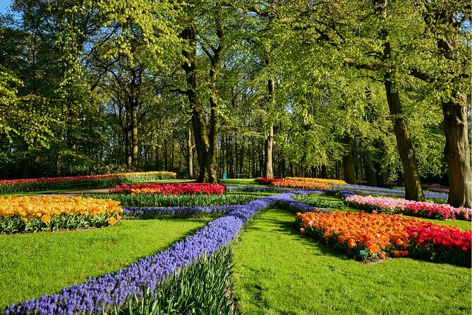 Guided Excursion to Keukenhof and Tulip Experience From Amsterdam - Guided Tour: Discovering the Beauty of Keukenhof
