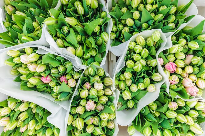 Guided Excursion to Keukenhof and Tulip Experience From Amsterdam - Tulip Experience: Taking in Dutch Floral Culture