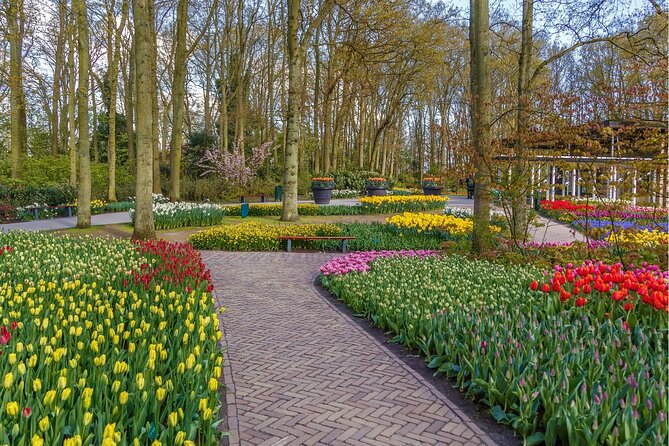Guided Excursion to Keukenhof and Tulip Experience From Amsterdam - Insider Tips: Making the Most of Your Visit