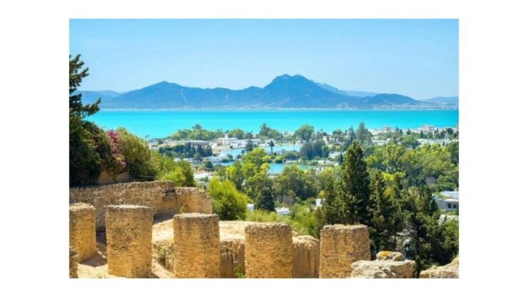 Guided Excursion : Tunis, Carthage and Sidi Bou Saïd - Activity Details and Booking Information