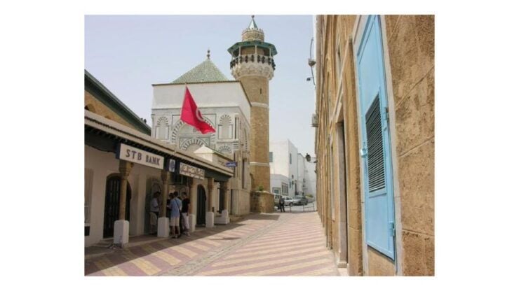 Guided Excursion : Tunis, Carthage and Sidi Bou Saïd - Experience Highlights