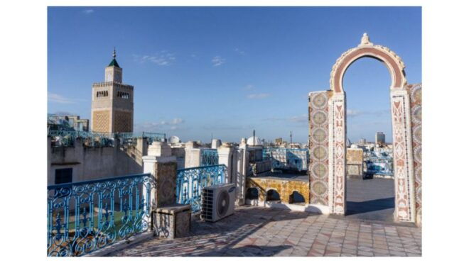 Guided Excursion : Tunis, Carthage and Sidi Bou Saïd - Activity Description