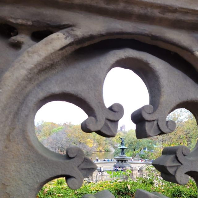 Guided Express Pedicab Tour in Central Park - Inclusions