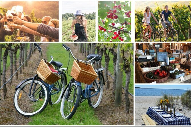 Guided Farm and Wine Country Bike Tour in Mattituck NY - Good To Know