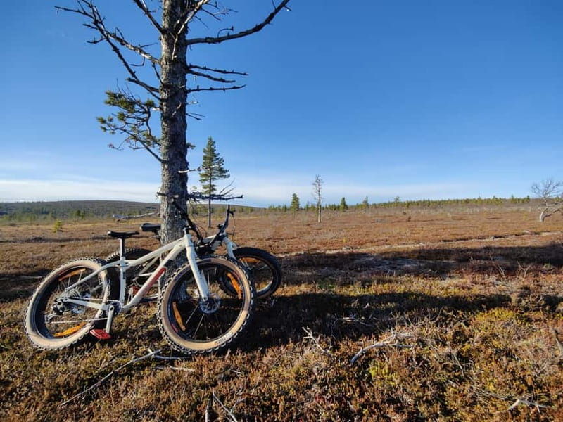 Guided Fatbike Tour in Ivalo - Exploring the Ivalo Fatbike Journey in Detail