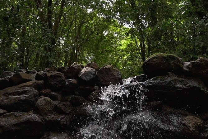 Guided Fauna and Flora Observation Tour, Anton Valley - Location and Meeting Point