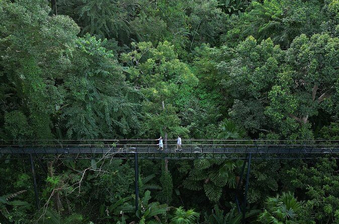 Guided FH1 Zipline Adventure at Hanuman World - Who Is This Tour Best For?  