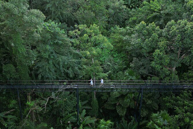 Guided FH1 Zipline Adventure at Hanuman World - The Value of the Experience