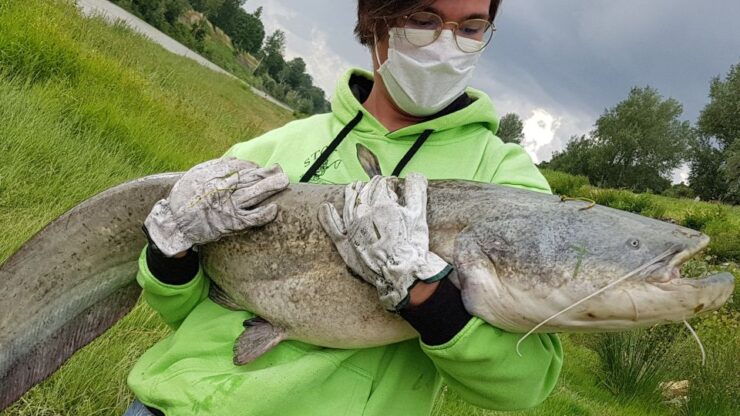 Guided Fishing Session in Florence - Good To Know