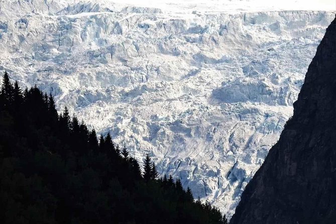 Guided Fjord & Glacier Tour - From BERGEN - Traveler Reviews