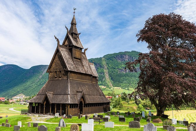Guided Fjord & Glacier Tour - From BERGEN - The Sum Up