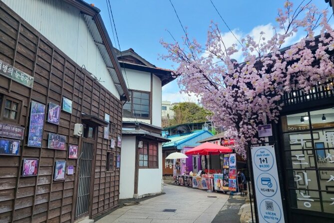 Guided Full Day Camellia Private Tour in Pohang - Booking Details