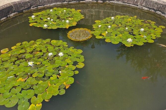 Guided Full Day Yangsan UNESCO Tranquil Eco Tour From Busan - Customer Reviews