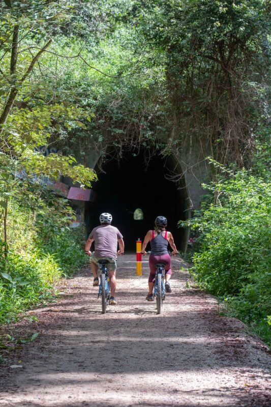 Guided Glow Worm E-Bike Tour in Byron Bay - A glow-worm tunnel, reached by e-bike