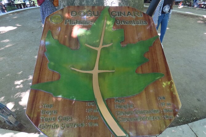 Guided Green Bursa Tour With Cable Car From Istanbul to Uludag - Selecting Date and Travelers