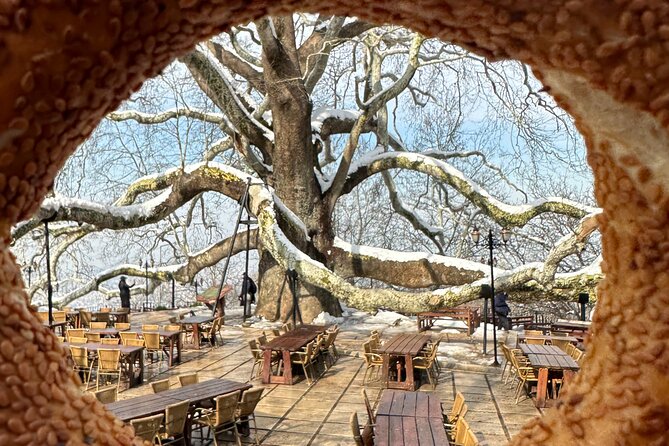 Guided Green Bursa Tour With Cable Car From Istanbul to Uludag - Whats Included