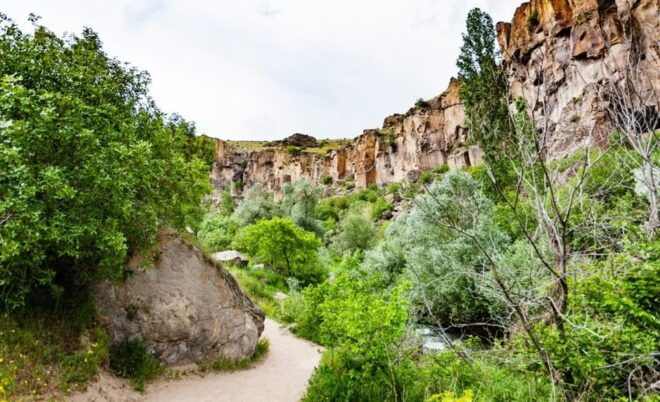 Guided Green Tour With Lunch & Entrance Fees - Participant Information