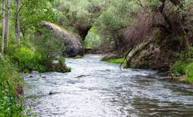 Guided Green Tour With Lunch & Entrance Fees - Important Guidelines